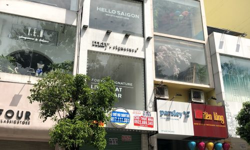 Bán Villa Mini cực đẹp HẺM ô tô 5M Ngay Trần Đình Xu – gần Trần Hưng Đạo Q1, 23,5 Tỷ TL