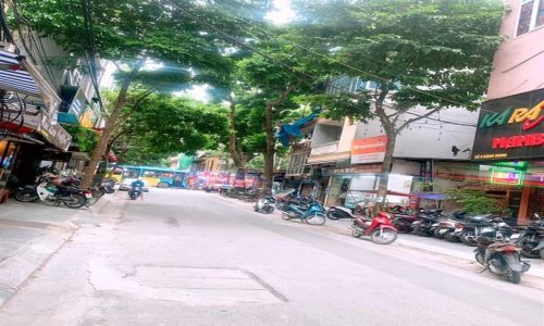 Cho thuê nhà Mặt  Đặng Dung, P.Tân Định, Quận 1